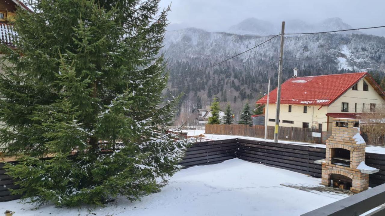 Nordic Chalet Sinaia Esterno foto